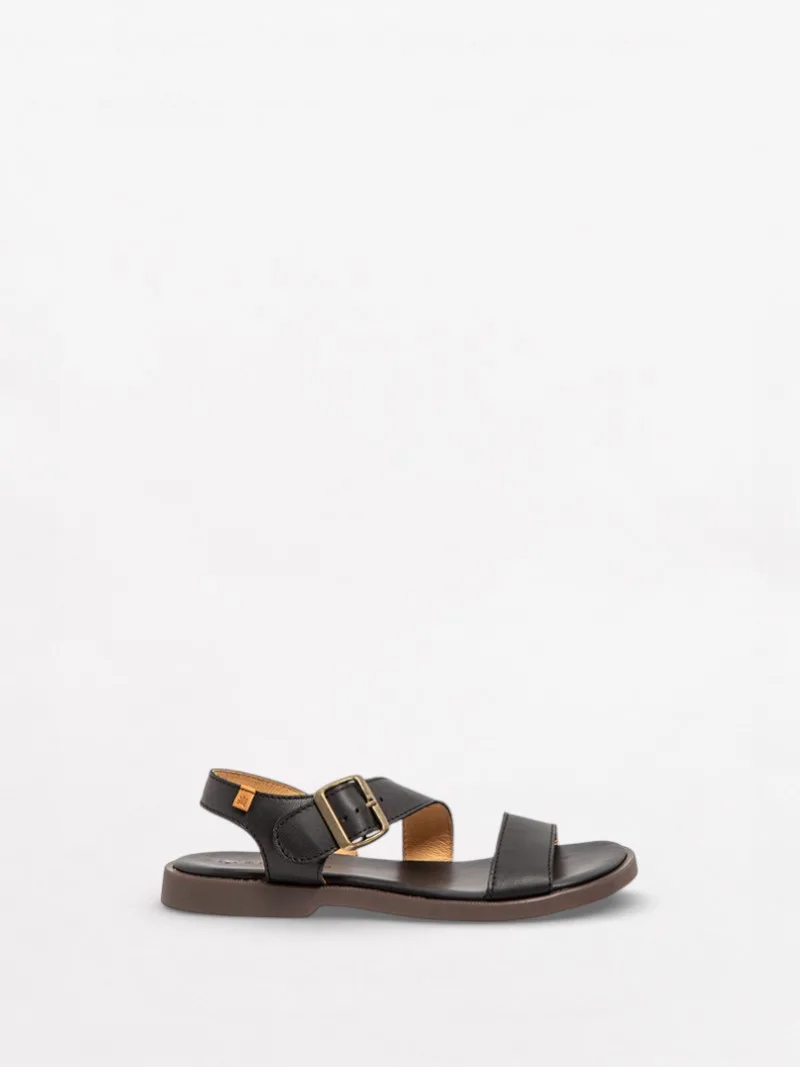 Arenisca N5887